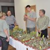 2011 - Výstava kaktusov a sukulentov